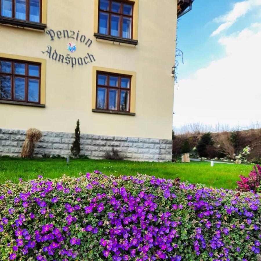 Hotel Penzion Adršpach u Báry Exterior foto